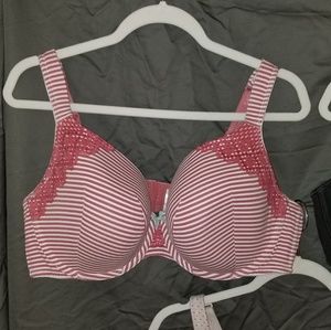 Cacique full-coverage bra